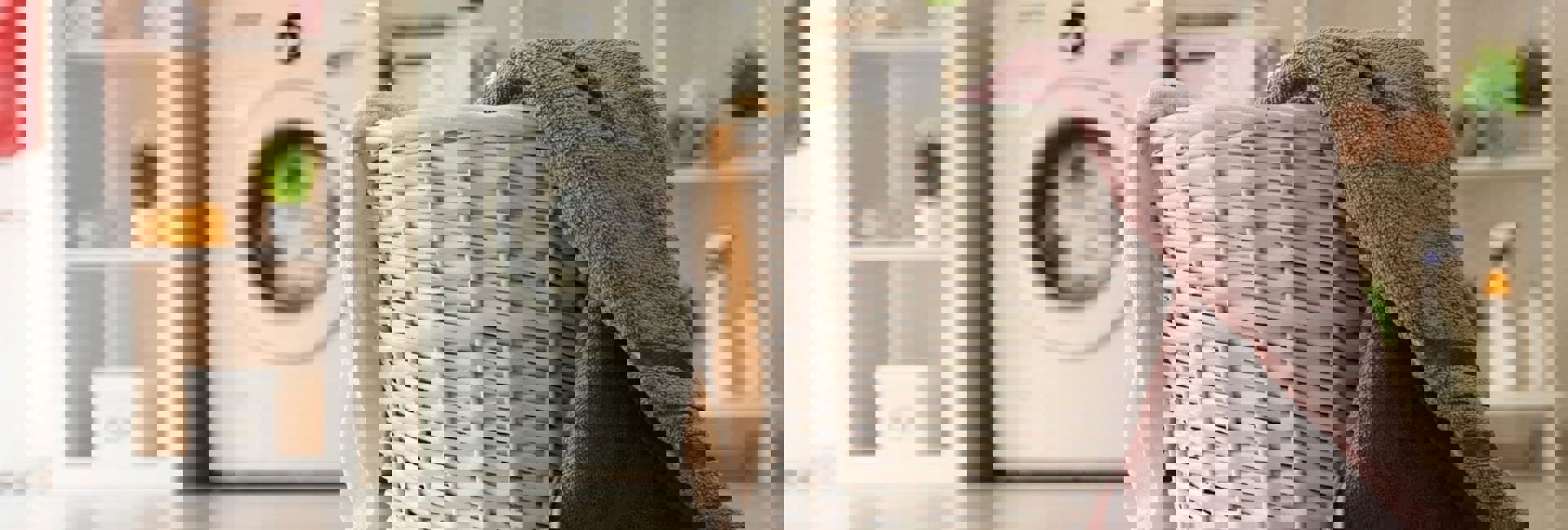 Wash And Fold Laundry Service Seattle